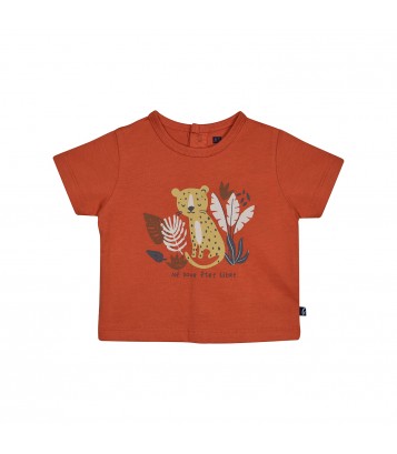 TSHIRT BERMUDA NESTOR Sucre Orge