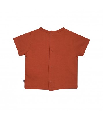 TSHIRT BERMUDA NESTOR Sucre Orge