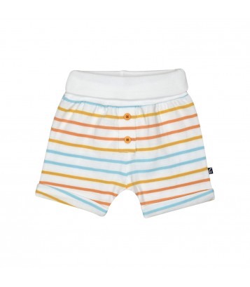 TEE SHIRT SHORT GINO Sucre Orge