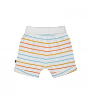 TEE SHIRT SHORT GINO Sucre Orge