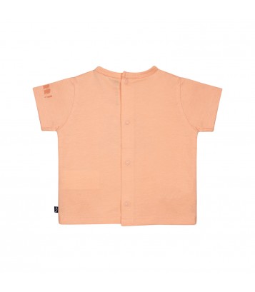 TSHIRT SHORT NAZZARENO Sucre Orge