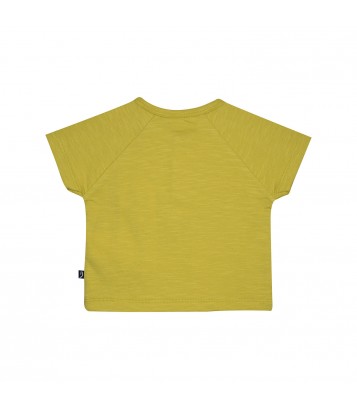 TSHIRT BERMUDA NICOLAS Sucre Orge