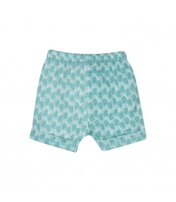TEE SHIRT SHORT GAELIG Sucre Orge