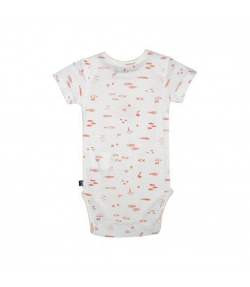 LOT DE 3 BODIES LAELIE Sucre Orge