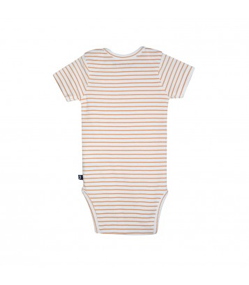 LOT DE 3 BODIES ODILON Sucre Orge