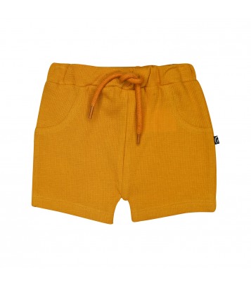 TSHIRT SHORT NAZERI Sucre Orge