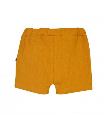 TSHIRT SHORT NAZERI Sucre Orge