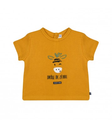 TSHIRT SHORT NOCENZIO Sucre Orge
