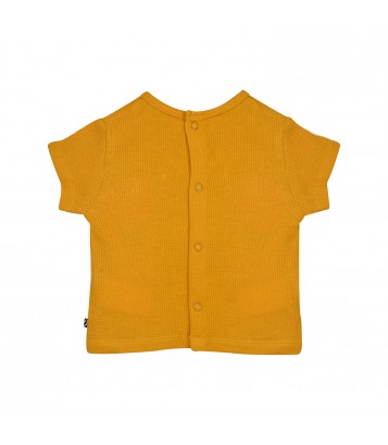 TSHIRT SHORT NOCENZIO Sucre Orge