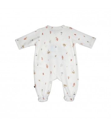 SET NAISSANCE NED Sucre Orge