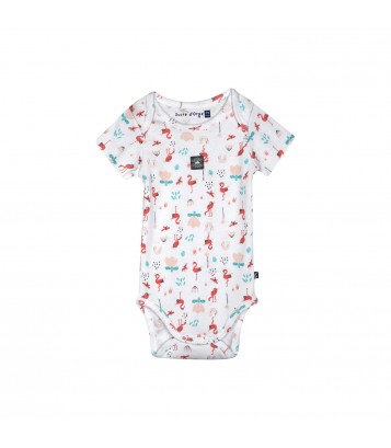 LOT DE 3 BODIES NORDINE Sucre Orge