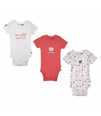 LOT DE 3 BODIES NORDINE Sucre Orge