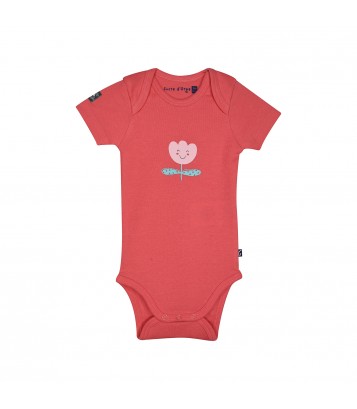LOT DE 3 BODIES NORDINE Sucre Orge