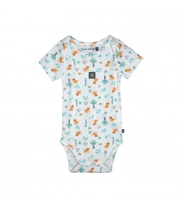 LOT DE 3 BODIES NORDINE Sucre Orge