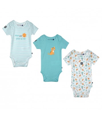LOT DE 3 BODIES NORDINE Sucre Orge