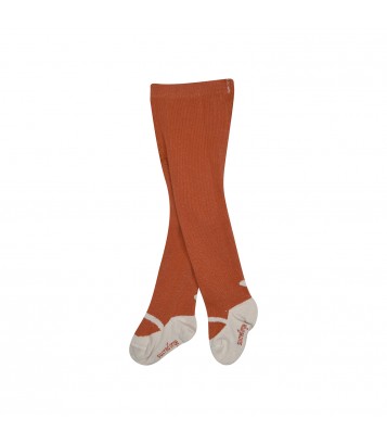 COLLANTS PAQUERETTE Sucre Orge