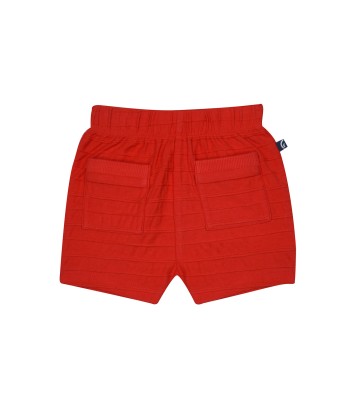 TSHIRT SHORT BAVOIR RONAN Sucre Orge