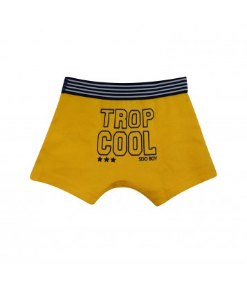 LOT DE 3 BOXERS DJAMAIQUE Sucre Orge