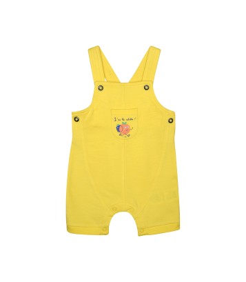 TSHIRT SALOPETTE RADOVAN Sucre Orge