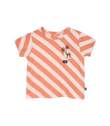 TSHIRT SHORT RENSO Sucre Orge