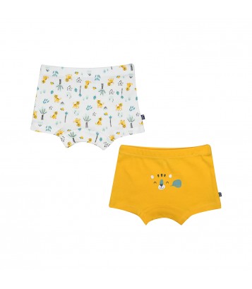 LOT DE 2 BOXERS GREGORIO Sucre Orge