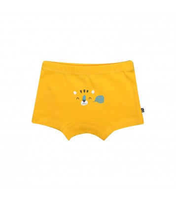 LOT DE 2 BOXERS GREGORIO Sucre Orge