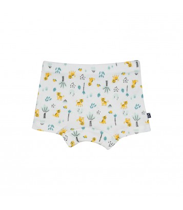 LOT DE 2 BOXERS GREGORIO Sucre Orge