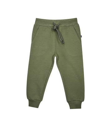 JOGGING SCOTT Sucre Orge