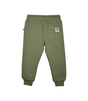 JOGGING SCOTT Sucre Orge