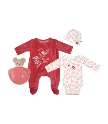 SET NAISSANCE SCARLETTE Sucre Orge