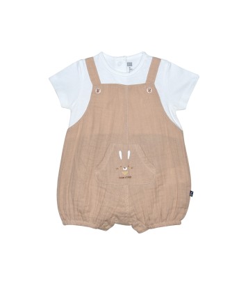 COMBICOURT RENECHARLES Sucre Orge