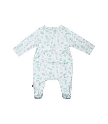 DORS BIEN ROELOF Sucre Orge