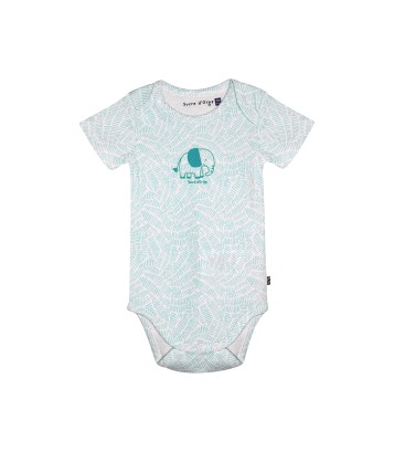 LOT DE 3 BODIES RAMZI Sucre Orge