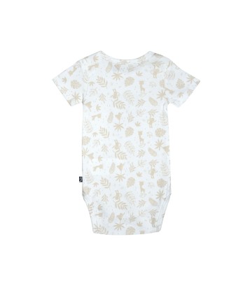 LOT DE 3 BODIES RIDAH Sucre Orge