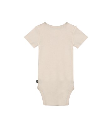 LOT DE 3 BODIES RIDAH Sucre Orge