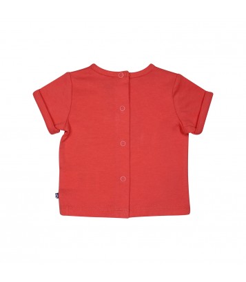 TSHIRT SHORT NEMO Sucre Orge