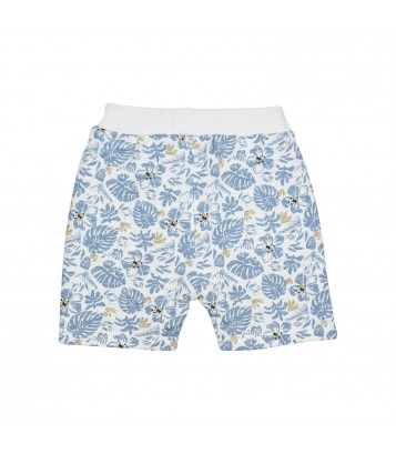 TSHIRT BERMUDA NUNO Sucre Orge