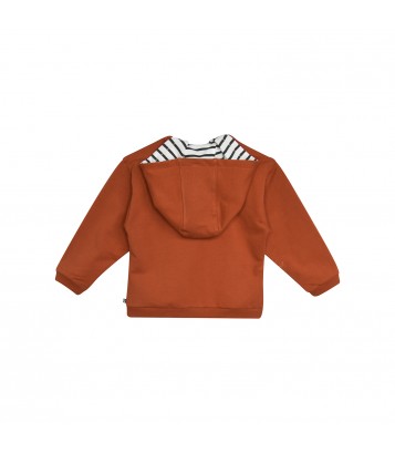 CARDIGAN MANFRED Sucre Orge