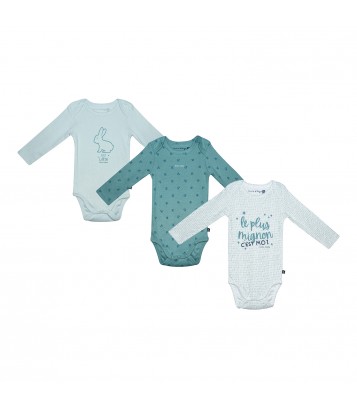 LOT DE 3 BODIES PAULUS Sucre Orge