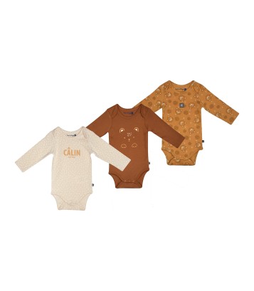 LOT DE 3 BODIES SAMBA Sucre Orge