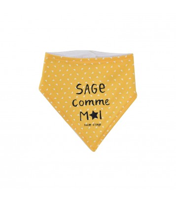 LOT DE 2 BAVOIRS BANDANAS ERVIN Sucre Orge