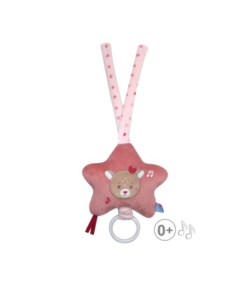 BOITE A MUSIQUE BICHE RAZANE Sucre Orge