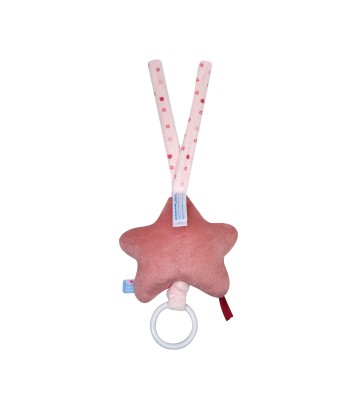 BOITE A MUSIQUE BICHE RAZANE Sucre Orge