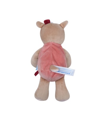 CAJOU BICHE RABHIA Sucre Orge