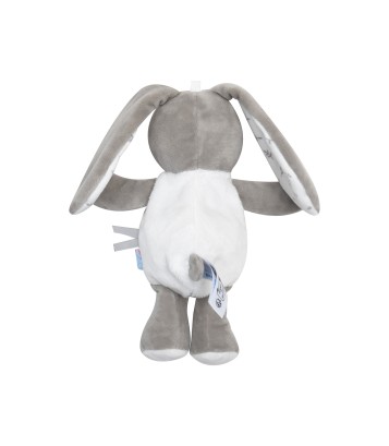 CAJOU LAPIN RUDEL Sucre Orge