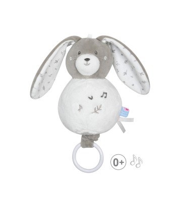 SUJET MUSICAL LAPIN ROBB Sucre Orge