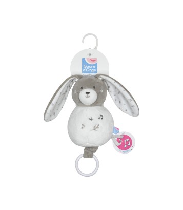 SUJET MUSICAL LAPIN ROBB Sucre Orge
