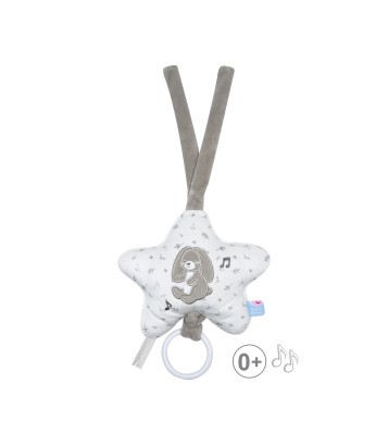 BOITE A MUSIQUE LAPIN REMY Sucre Orge