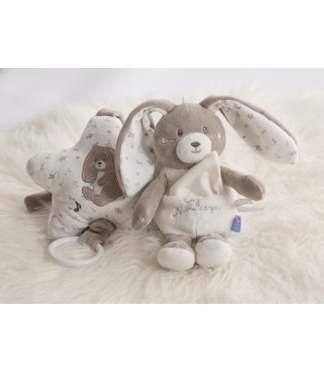 BOITE A MUSIQUE LAPIN REMY Sucre Orge