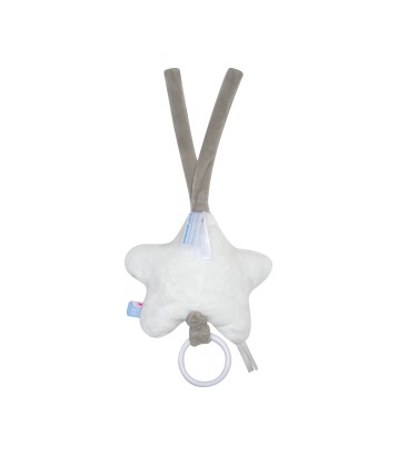 BOITE A MUSIQUE LAPIN REMY Sucre Orge